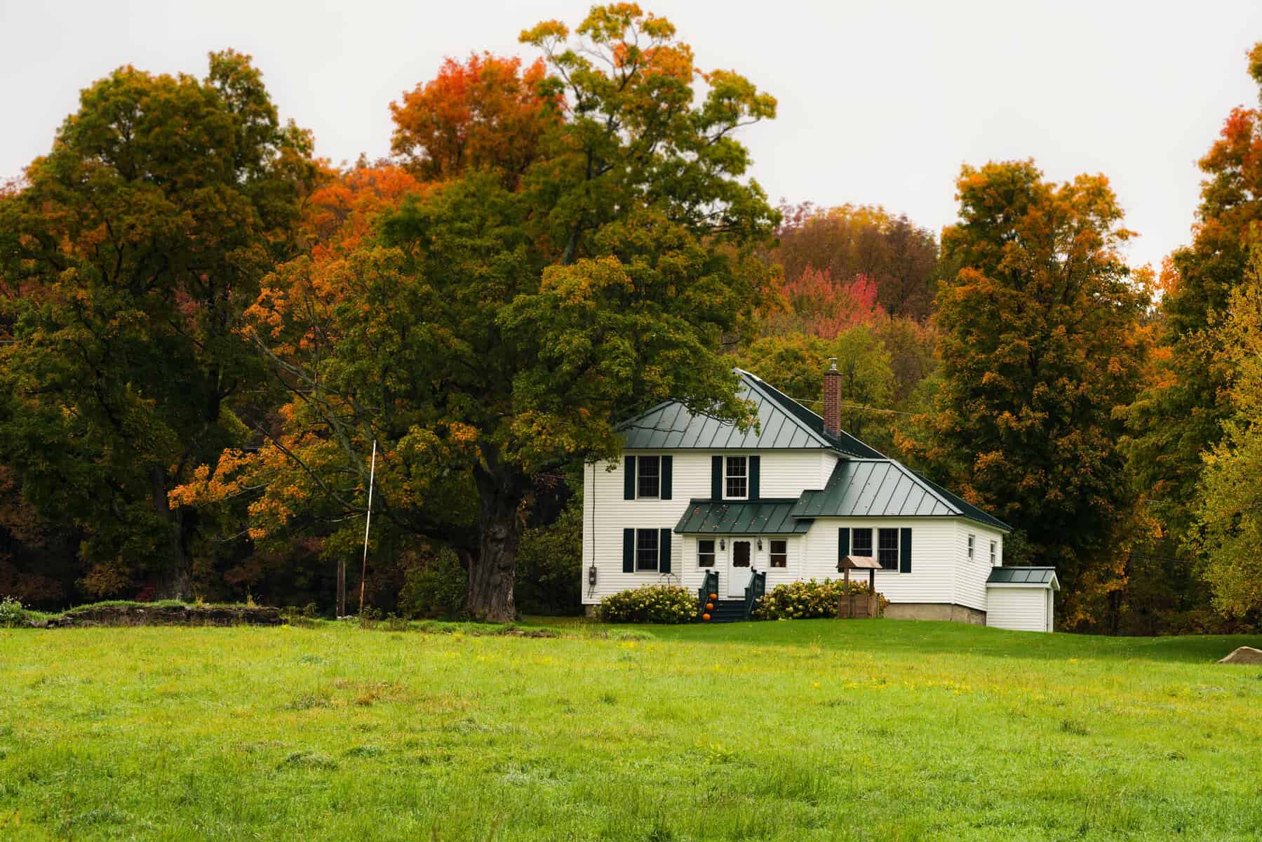 Florida Homestead Exemption and Bankruptcy